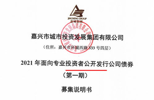 嘉城集團(tuán)擬發(fā)行15億公司債券 存盈利對政府補助依賴較高風(fēng)險